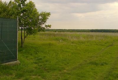 Teren în Central - 6