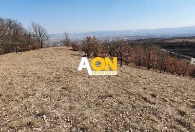 Teren ideal pentru cabana 4165 mp langa padure zona Valea Popii Teren ideal pentru cabana 4165 mp langa padure zona Valea Popii - 2