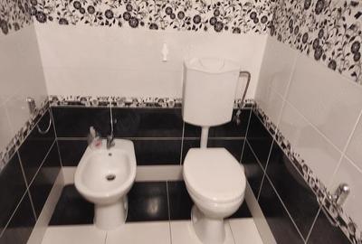 Apartament cu 2 camere decomandat, mobilat în Nord - 7