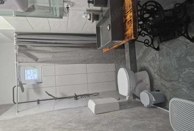 Casă cu 3 camere în Archita - 3