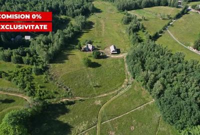 Teren de 38781 mp, în Râșca - 6