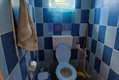 Casă cu 2 camere cu Teren 1200 Mp în Bucinișu - 4