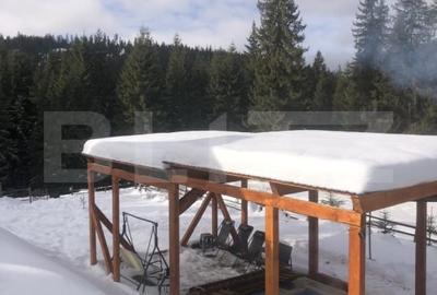 Casă individuală cu 5 camere cu Piscina în Beliș - 20