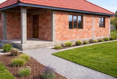 Casă cu 2 camere cu Teren 987 Mp în Peciu Nou - 3