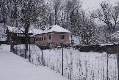 Casă cu 3 camere în Urseiu - 6