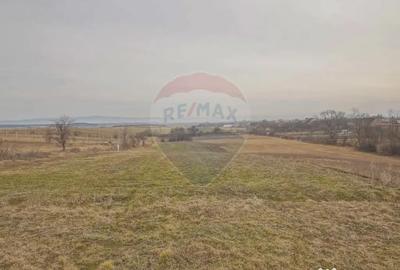 Casă cu 7 camere cu Canalizare în Crizbav - 7