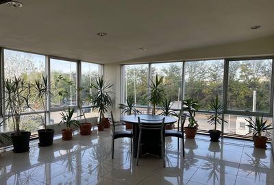 Spatiu depozitare si productie Militari - Iuliu Maniu - 4