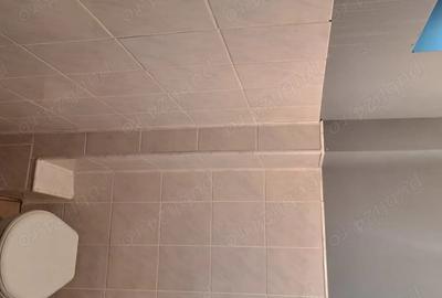 Spațiu comercial, de 111 mp, în Zamostea - 5
