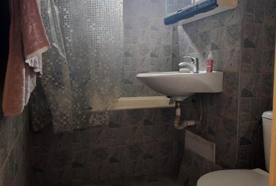 Apartament cu 3 camere decomandat, mobilat în Alexandru Obregia - 6