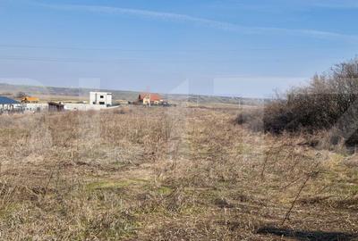 Teren de 15256 mp, în Jibert - 2