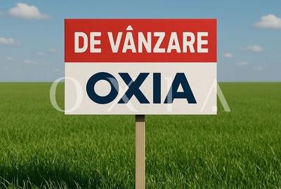 BX205 Chisoda-Intravilan,Duplex-P+E+M - 3