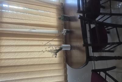 Garsonieră decomandată în Central - 7