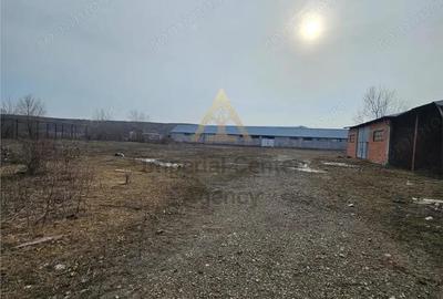 Teren de 57662 mp, în Popeni - 16