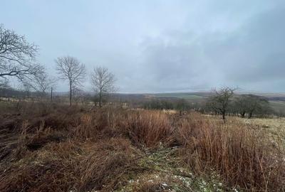 Casa Demolabila | Rediu | Teren 3278 mp | Posibiliate parcelare - 7