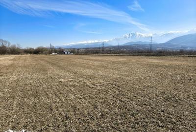 Teren de 2800 mp, în Turnu Roșu - 14