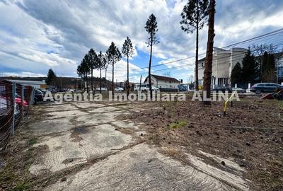 Teren de 1390 mp, în 22 Decembrie - 2