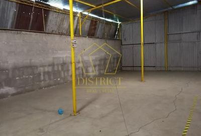 Spatiu Comercial tip Hala I Zona Lipovei - 13
