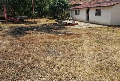 Casa de vanzare Afumati - 4