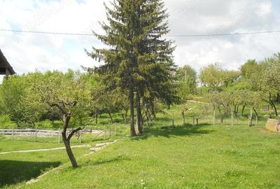 Teren în Toculești - 3