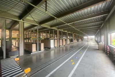 Hala de inchiriat - 2