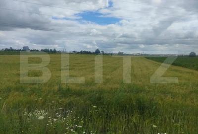 Teren de 6600 mp, în Rădăuți - 2