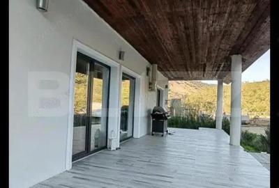 Casa individuala cu 4 camere,pretabila casa de vacanta sau pensiune,Pianu de Sus - 1