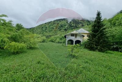 Proprietate unica in Tarcau - 30.283 mp intravilan, casa P+M - 2