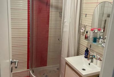 Apartament 3 camere Ghermanesti Snagov - 4