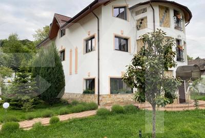 Domeniu de vanzare, Baile Govora(Pausesti-Otasau) cu teren de 20875mp - 3