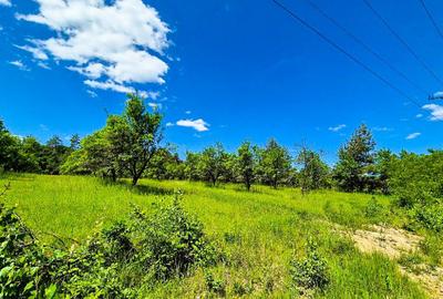 Teren intravilan Cotmeana Arges - 8