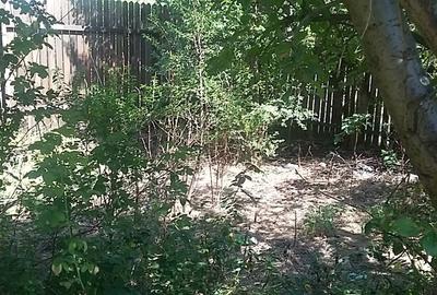 Vanzare Teren 777 mp + casa batraneasca Smeeni BZ - 8