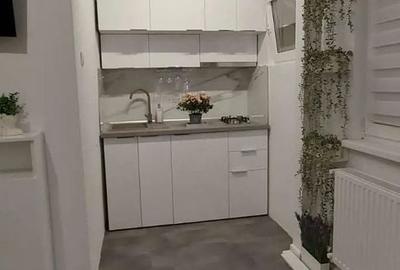 Garsonieră renovată, boiler, etaj 9, metrou 1 Decembrie 1918 - 6