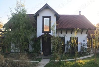 Casă cu 3 camere cu Teren 2125 Mp în Vechea - 3