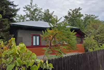 Casă cu 4 camere cu Teren 3682 Mp în Radu Vodă - 5