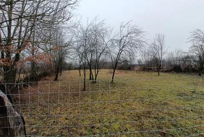 Teren de 1250 mp, în Brebu - 4