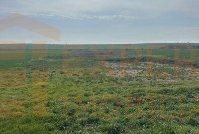 Teren de 10000 mp, în Valu lui Traian - 6