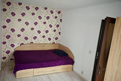 Apartament cu 2 camere semidecomandat în Banat - 2