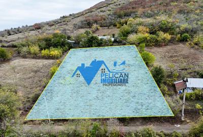 Teren intravilan NICULITEL, zona deosebita, 3044MP - 12