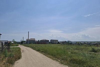 Teren de 5000 mp, în Lazu - 1