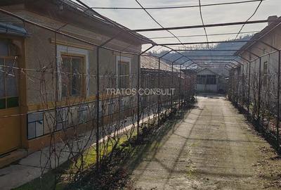 Casa Comuna Hotarele,Giurgiu - 3