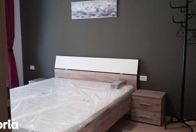 Apartament cu 2 camere decomandat în Dumbrăvița - 3