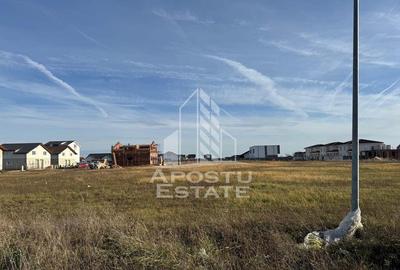 Teren de 600 mp, în Moșnița Nouă