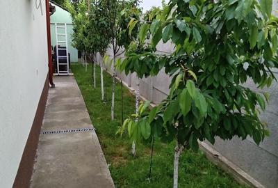 Casă cu 4 camere în Afumați - 2