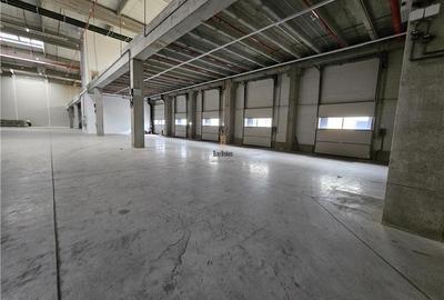 Spatiu Industrial - 6000 mp - Logistica - Productie - Depozitare - Distributie - 12