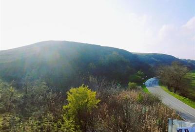 Teren de vanzare in Delta Dunarii loc. Nufaru - 1