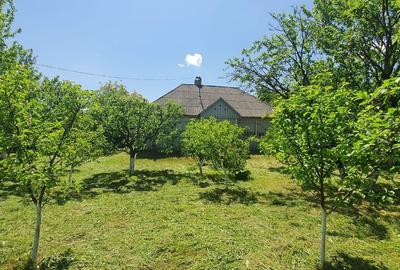 Casă cu 2 camere în Dersca - 5