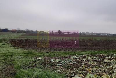 Teren Investiție aproape de București - 10