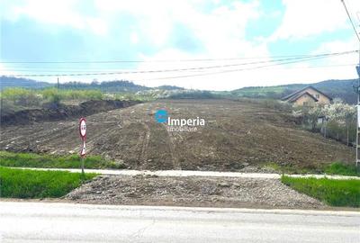 Teren 4.950 mp în centru Tomești  Acces DN28, intravilan, ideal inves - 1