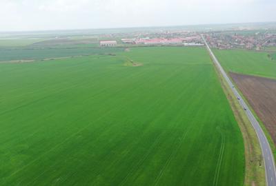 Teren industrial Dudestii Noi - 5