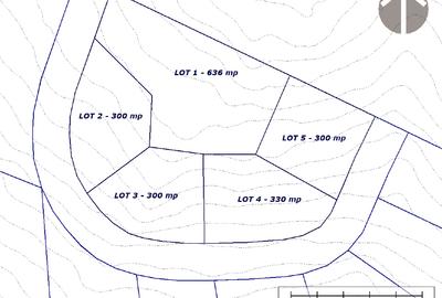 Bucegi zona alpina Ski Resort Padina Pestera - 2